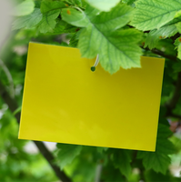 Pièges collants jaunes double face essentiels pour le contrôle des ravageurs du jardin, sûrs et non toxiques pour les fleurs, les légumes et les succulentes