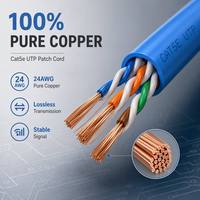 Kabel Patch Jaringan Cat5e UTP CCA yang Hemat Biaya, RJ45 Tanpa Pelindung, Bersertifikasi CE/FCC, Panjang Dapat Disesuaikan untuk Kantor Kecil