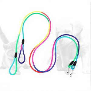 Correa de Entrenamiento Rainbow para Perros y Gatos - Product Image 1