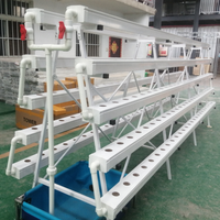 Système de culture hydroponique NFT Channel Système de gouttière hydroponique Système de culture aréoponique Tables de plantation de laitue à effet de serre