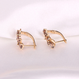 Champagne Gold Pomegranate Red 5A Zircon 925 <b>Sterling</b> <b>Silver</b> <b>Hoop</b> <b>Earrings</b> Luxury Wedding - Product Image 6