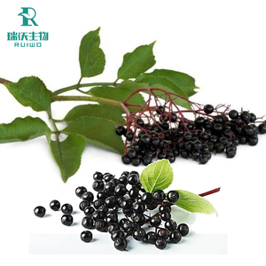 Fornitura del Produttore: Unguento di Estratto di Sambuco e Radice di Consolida in Contenitore di Vetro o Bottiglia - Product Image 2