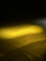 FUTURE EYES C2 60W Feux latéraux auxiliaires tout-terrain, éclairage longue portée à haut lumen pour kit d'éclairage extérieur de voiture