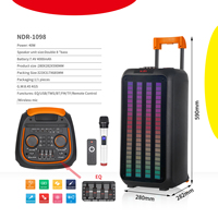 NDR1098 Haut-parleur stéréo actif double de 8 pouces pour karaoké extérieur Mic sans fil LED RVB pour Bluetooth USB DJ Batte