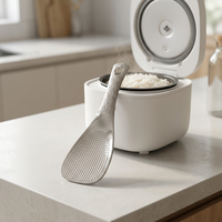 Cuillère à riz en acier inoxydable 304, spatule à riz pour cuiseur à riz, cuillère à riz pour purée de pommes de terre et salades