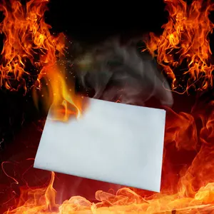 1 FLASH PAPER PAD Magic Fire Trick Effect Prop 20 Mini Sheets 2 x 3  Magician