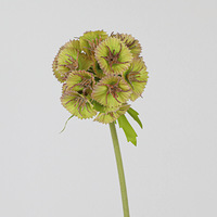 Fleur artificielle de Scabiosa blanche en soie de haute qualité, style européen, faite à la main, pour la maison, les mariages, les remises de diplômes et Thanksgiving