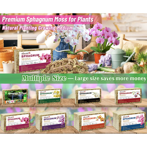 Musgo Sphagnum de baja impureza suministrado por fábrica para plantas carnívoras y mezcla de suelo, maceta colgante y control de humedad - Product Image 3