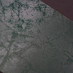 政府文書<span class=keywords><strong>PVC</strong></span>コーティング紙、220gsm環境にやさしいパスポート/証明書カバー、偽造防止 & カスタムテクスチャ - Product Image 4