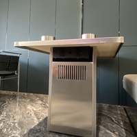 Table de cuisson moderne en acier inoxydable à double combustible (bouteille et cartouche de gaz) pour restaurant, hôtel et usage domestique