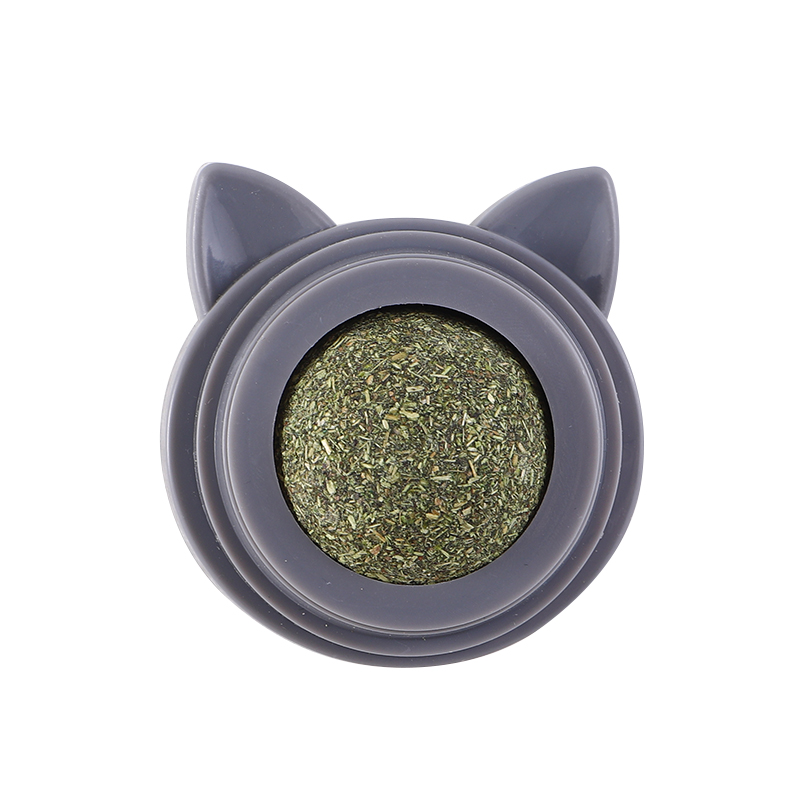 Chat gris