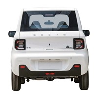 Mobil Mini Geely Panda 2024 Terbaru, Penggerak Roda Belakang, Mini Hatchback Listrik, Kendaraan Energi Baru dengan Kemudi Kiri EV