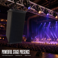 Haut-parleur Line Array double 6,5 pouces DS-DA-206 200W 118dB 110 ° Armoire en contreplaqué pour salle de théâtre, salle de conférence, KTV, OEM/ODM