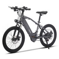 Vélo de montagne électrique pour adultes de 20 pouces, 250 W, batterie cachée, double amortissement, phare LED, 7 vitesses