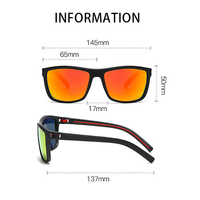 Gafas de Sol Polarizadas con Marco de PC al por Mayor, Protección UV400, Ligeras, Resistentes a Impactos, para Ciclismo, Bicicleta de Montaña, Actividades al Aire Libre, para Hombres y Mujeres