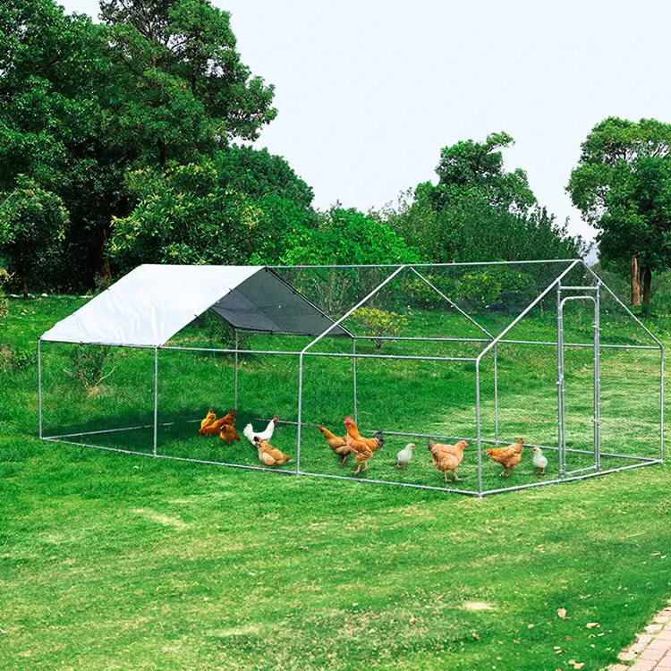 ארה"ב במלאי 20 * 10ft חיצוני רחב מגולוון מתכת תרנגולת בית גדול פלדה עוף לרוץ לול עבור תרנגולות
