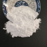 Bicarbonate de sodium de qualité industrielle NaHCO3 en sacs de 25 kg pour le contrôle du pH des eaux usées