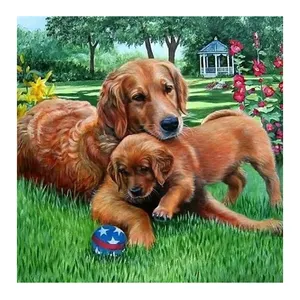 Groothandel De Honden En Speelgoedbal Op Het Gras Diy 5d Diamond Painting Full Drill Diamant Borduurwerk Huis Muur Decoraties Geschenken