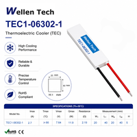 Modules Peltier Bi2Te3 Économiques TEC1-06302 20x40x5.0 mm 2.7 A 11.9 W pour Refroidisseur de Réactifs