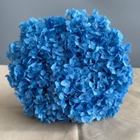 Vente directe d'usine, fleurs séchées au toucher réel, fleurs d'hortensia préservées, tiges de fleurs, décoration de mariage