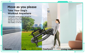 Tapis roulant d'agilité pour chien W2-2 en acier écologique pour intérieur/extérieur, vente en <span class=keywords><strong>gros</strong></span> - Product Image 3