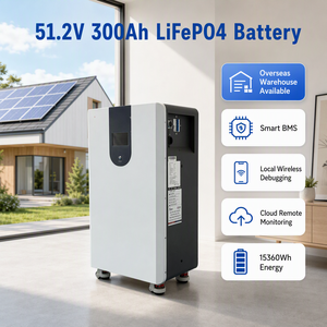 แบตเตอรี่โซลาร์ LiFePO4 51.2V 300Ah 15.36kWh สำหรับบ้าน ระบบ ESS แบตเตอรี่ลิเธียมไอรอนฟอสเฟต 6000 รอบการใช้งาน พร้อมระบบ BMS อัจฉริยะ ควบคุมผ่านแอพพลิเคชั่น มาตรฐาน EU - Product Image 1