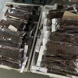 Letsfly 11A Paquete de Cabello Humano Rizado Pixie de Doble Trama, Negro Natural, 10-26 Pulgadas, Cabello Humano con Puntas Completas, Trama Doble - Product Image 4