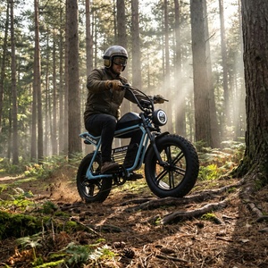 Bicicleta Eléctrica de Neumáticos Anchos para Dos Personas, Bicicleta Eléctrica con Asiento Largo y Portaequipajes Delantero para <span class=keywords><strong>Viajes</strong></span> Familiares de Fin de Semana - Product Image 4