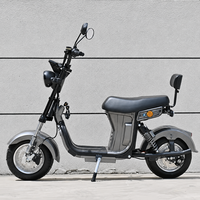 China Factory Hot Selling 1500W Cheap Motorcycle Electrical Systems Electric Motorcycle Motor Electric Motorcycle Scooter