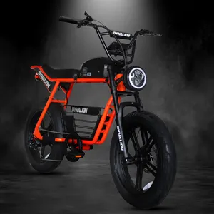 48V 750W 1000W điện xe đạp đường 20inch khung thép E xe đạp pin lithium dài Phạm vi điện chất béo lốp xe đạp