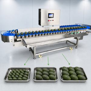 Fish Grader Machine Apple Sort Sorting Machine Olive Pineapple Fruit Classifier Tomato Weight Grading Machine for Sale - Product Image 1