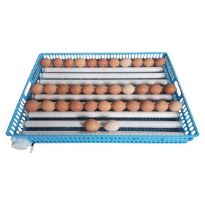 Vassoio Rotante Automatico per 100 Uova, Incubatrice con Vassoio Rotante per Uova di Gallina con Cestello Blu - Product Image 3