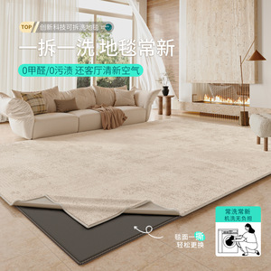 Tapis amovible et lavable de style Wabi Sabi, rectangulaire, grande surface, pour salon, tapis de sol, lavable en machine, design insonorisant - Product Image 2