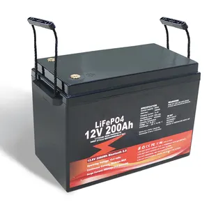 Batería de almacenamiento de energía LifePo4 12V 24V 48V 50Ah 100Ah 200Ah 300Ah 400Ah Batería de fosfato de hierro y litio LifePo4 con BMS
