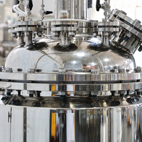 Réacteur à cuve agitée en acier inoxydable pour produits chimiques, personnalisable automatiquement