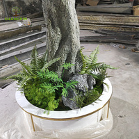 Grand Olivier Artificiel avec Jardinière Blanche et Fougères à la Base