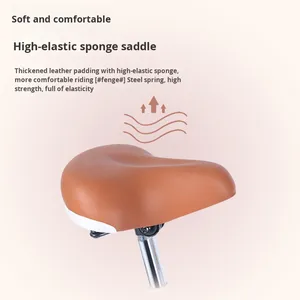 Sepeda Jalan Raya Wanita Dewasa Zhui Feng 26 inci 700c Klasik, Single Speed, Rem V, Kapasitas Beban 105kg, Ban 26*2.6 - Product Image 6