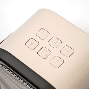 Mini Altavoz de Karaoke Portátil con Micrófono Inalámbrico y Luces de Colores para Niños y Adultos, Metal Activo RGB - Product Image 6