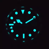 Montres mécaniques de luxe pour hommes de 40 mm avec lunette luminescente, cadran stérile, logo personnalisé, OEM, Seiko Nh35, automatique