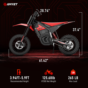 AMYETVT300 E Motorbike 48V 23.4AH Hydraulic 3000w Powerful EV Dirt Bike Ebike Off Road Motorcycle - Product Image 6