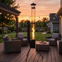 Poêle à granulés de qualité supérieure en acier au carbone sans fumée pour terrasse, poêle fusée pour rassemblements en extérieur avec tube en verre