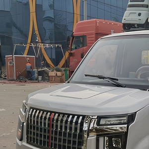 Mini Camion Elettrico, Pickup Elettrico 40-50Km/h, Pickup Elettrico Cinese 3000w, <span class=keywords><strong>Auto</strong></span> Elettrica a <span class=keywords><strong>5</strong></span> Posti - Product Image 4