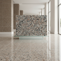 DCT Promotion : Dalles de granit polies de Chine, grand format, structure solide non poreuse, design moderne et écologique pour pavage extérieur