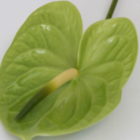 Bahan Bunga Hias Anthurium Cocok untuk Berbagai Festival, Bola Bunga Merah Burgundy Putih untuk Dekorasi Tengah Meja