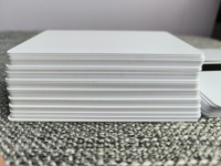 Carte imprimable vierge blanche Approvisionnement d'usine CR80 85.5*54*0.9mm Taille 13.56MHz 216 213 215 Cartes à puce RFID PVC en plastique NFC