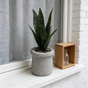 Maceta de Cemento con Remolino y Follaje Tropical Artificial - Decoración Moderna para Sala de Estar - Product Image 3