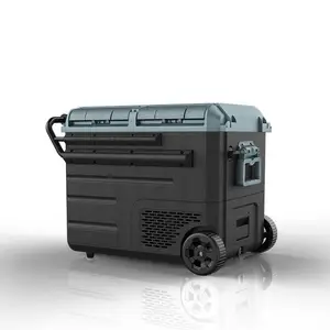 WAYCOOL WEG55 48L Compresor Alta Calidad Metal Refrigerador de coche 60L Inoxidable Refrigerador de coche Nevera portátil Congelador