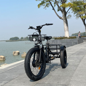 Bicicleta eléctrica de 3 ruedas, triciclo de neumáticos anchos, 24x4,0 - Product Image 1