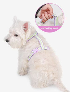 Rompi anjing layanan untuk anjing kecil bernapas rompi hewan <span class=keywords><strong>Harness</strong></span> anak anjing dan tali Set leher dan dada dapat disesuaikan - Product Image 3