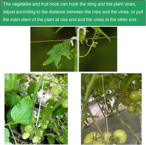 Clip de greffage en PC durable <span class=keywords><strong>pour</strong></span> serre agricole multi-travées, crochet en J <span class=keywords><strong>pour</strong></span> prévenir la chute des fruits et soutenir les tiges - Product Image 5